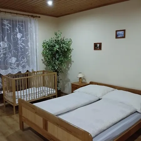 펜션 Benevyta 보브로벡
